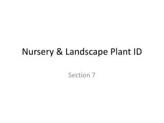 Nursery &amp; Landscape Plant ID