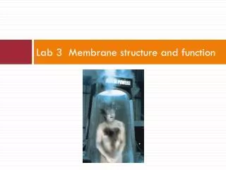Lab 3 Membrane structure and function