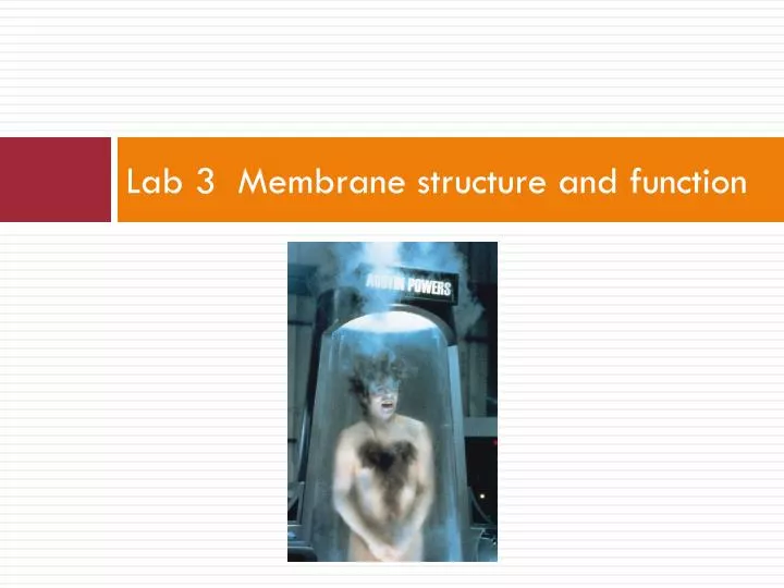 lab 3 membrane structure and function