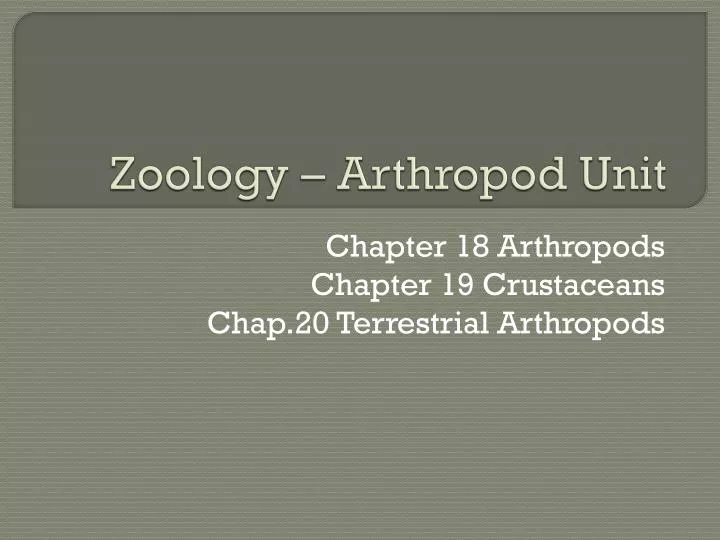 zoology arthropod unit