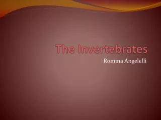 The Invertebrates