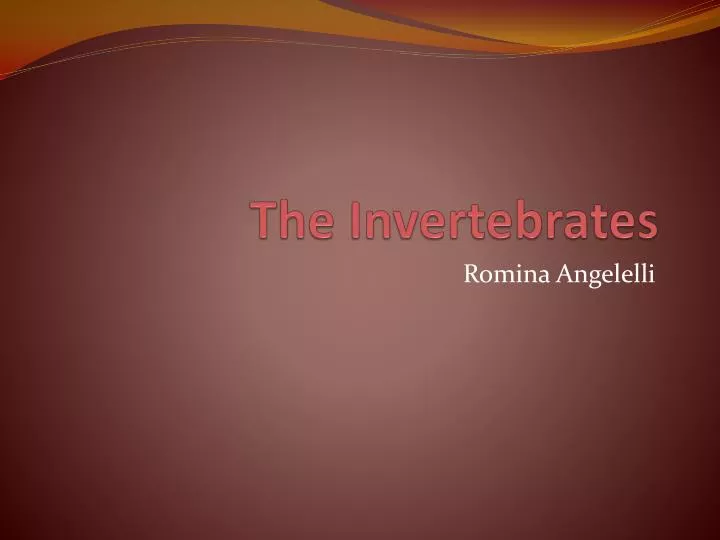 the invertebrates