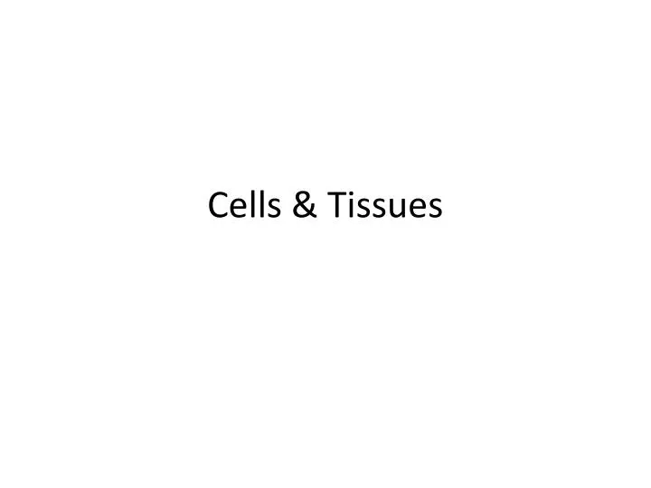 cells tissues