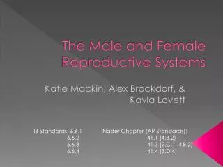 The Male and Female Reproductive Systems