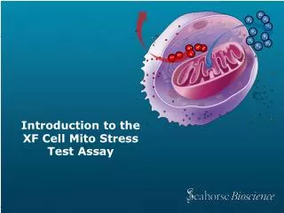 Introduction to the XF Cell Mito Stress Test Assay