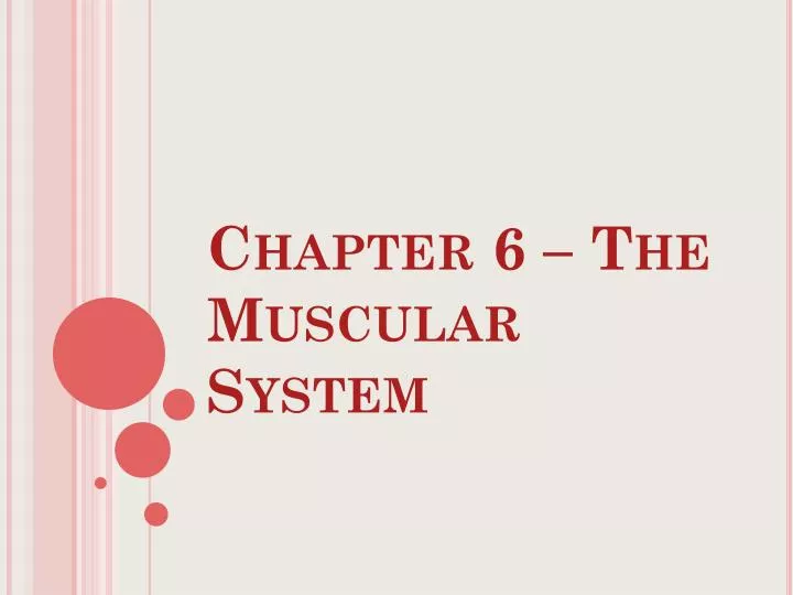 chapter 6 the muscular system