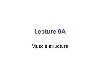 Lecture 9A