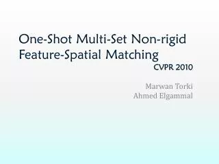 One-Shot Multi-Set Non-rigid Feature-Spatial Matching