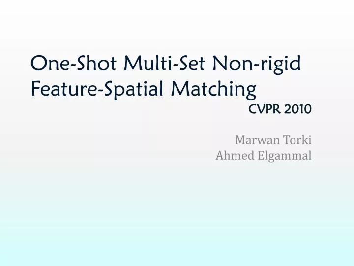 one shot multi set non rigid feature spatial matching