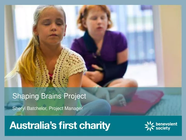 shaping brains project