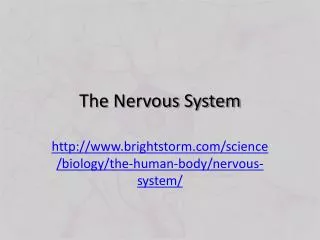 The Nervous System