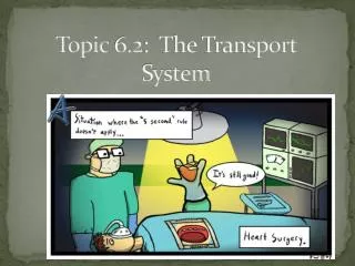 Topic 6.2: The Transport System