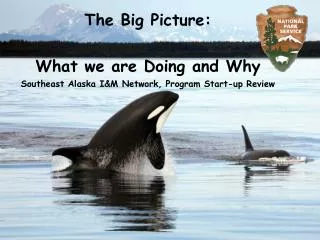 The Big Picture: What we are Doing and Why Southeast Alaska I&amp;M Network, Program Start-up Review