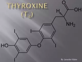 Thyroxine (T 4 )