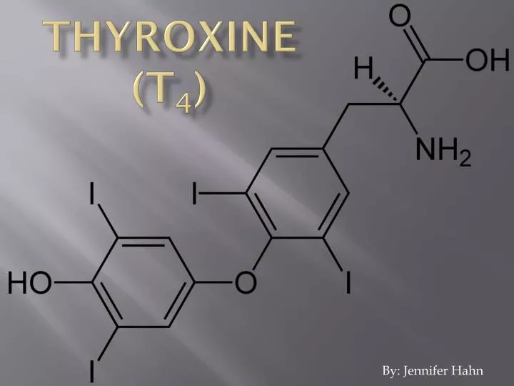thyroxine t 4
