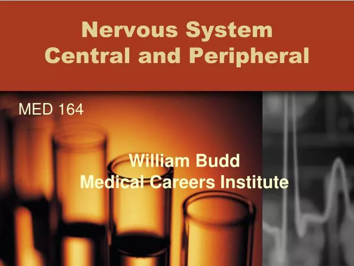 nervous system central and peripheral