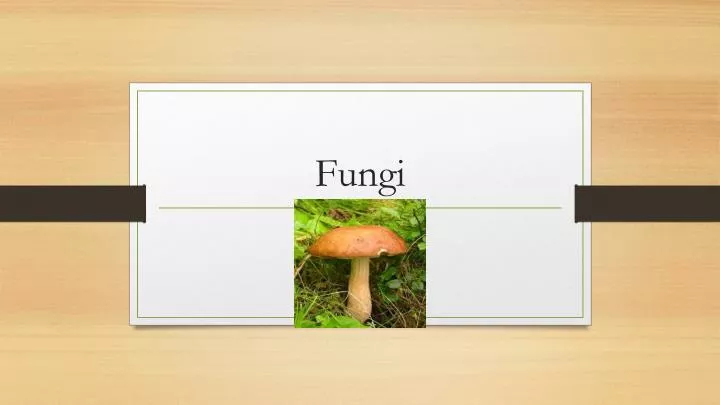 fungi