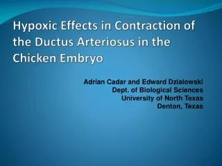 Hypoxic Effects in Contraction of the Ductus Arteriosus in the Chicken Embryo