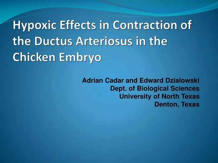 hypoxic effects in contraction of the ductus arteriosus in the chicken embryo