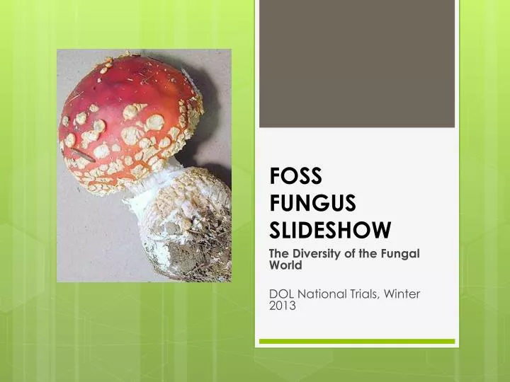 foss fungus slideshow