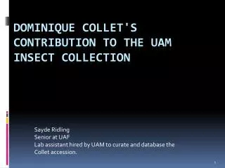Dominique Collet's contribution to the UAM insect Collection