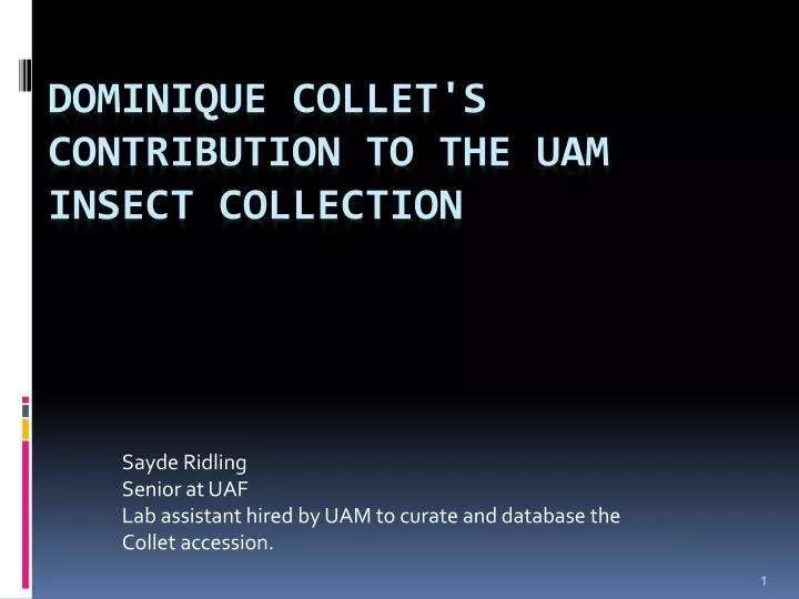 sayde ridling senior at uaf lab assistant hired by uam to curate and database the collet accession