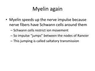 Myelin again