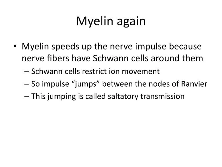 myelin again