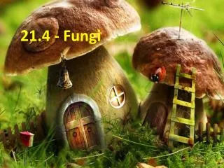 21.4 - Fungi