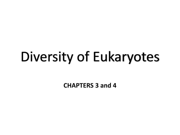 diversity of eukaryotes