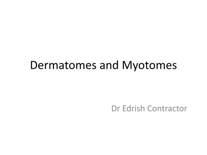 dermatomes and myotomes