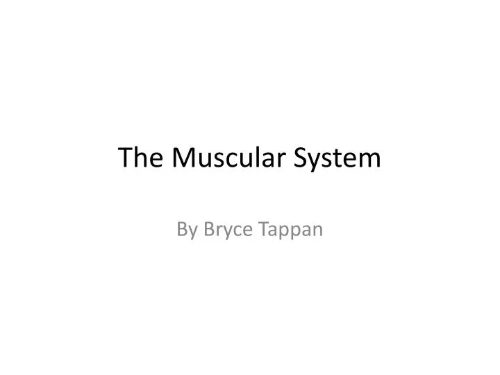 the muscular system