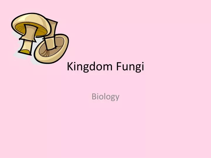 kingdom fungi