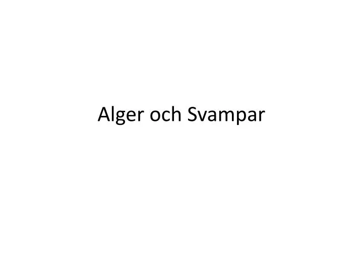 alger och svampar