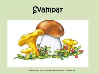 svampar