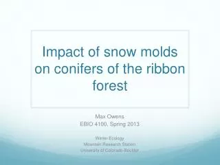 Impact of snow molds on conifers of the ribbon forest