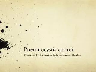 Pneumocystis carinii