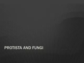 Protista and Fungi