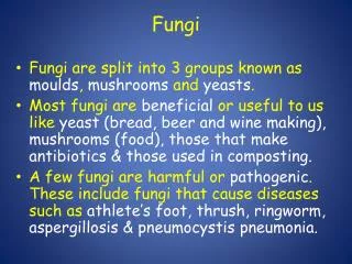 Fungi