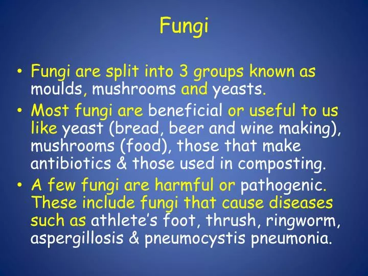 fungi