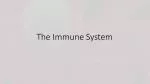 The Immune System - slide 1