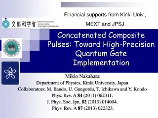 Concatenated Composite Pulses: Toward High-Precision Quantum Gate Implementation