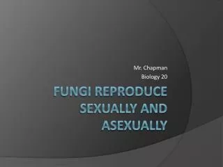 mr chapman biology 20