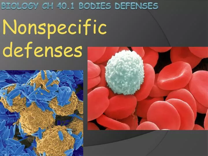 nonspecific defenses