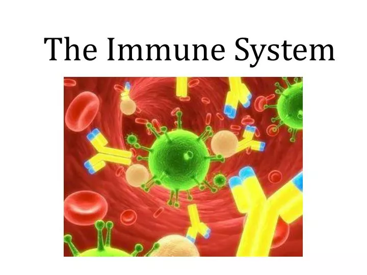 the immune system