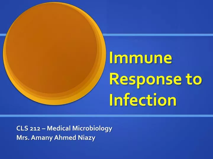 immune response to infection