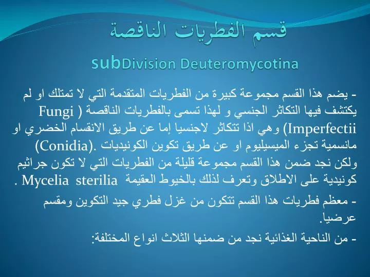 sub division deuteromycotina