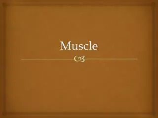 Muscle