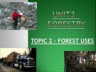 UNIT3 - FORESTRY