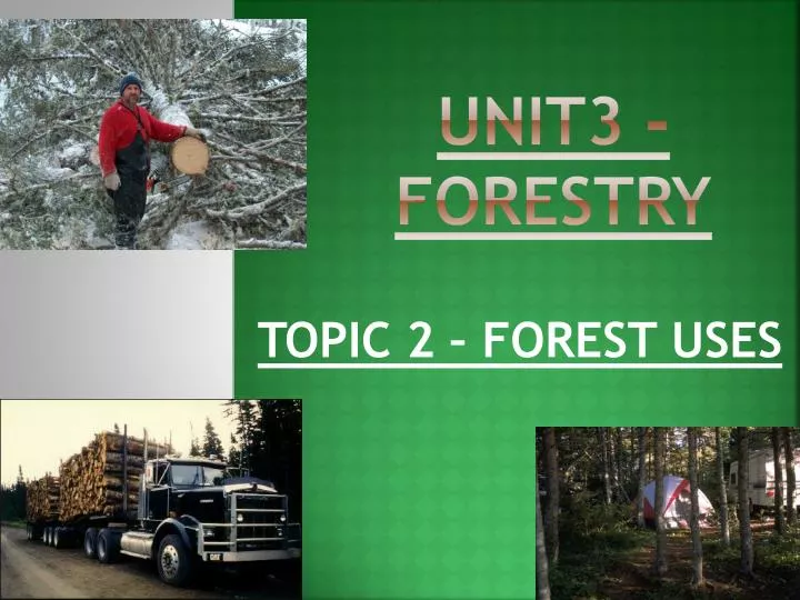 unit3 forestry